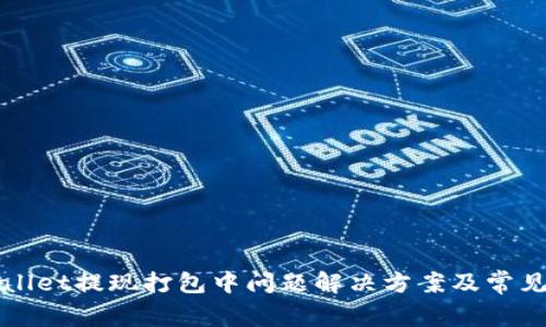 TPWallet提现打包中问题解决方案及常见问答