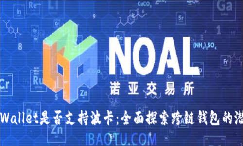 TPWallet是否支持波卡：全面探索跨链钱包的潜力