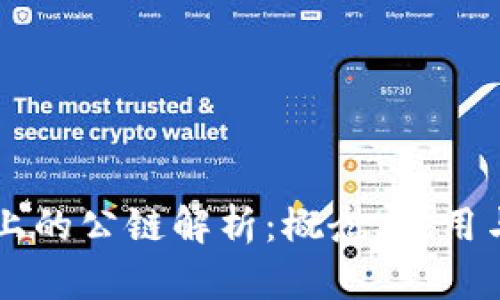 TPWallet上的公链解析：概念、应用与未来发展