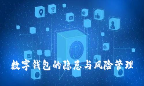 数字钱包的隐患与风险管理