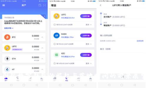 国际数字钱包的崛起与落地时间的前景展望