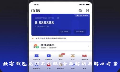 数字钱包充值不到账？全面解析与解决方案