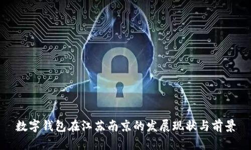 数字钱包在江苏南京的发展现状与前景