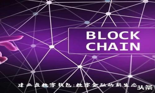 建业盘数字钱包：数字金融的新生态