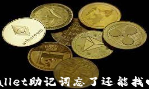 
tpwallet助记词忘了还能找回吗？