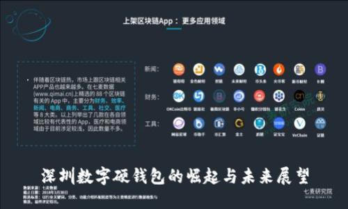 深圳数字硬钱包的崛起与未来展望