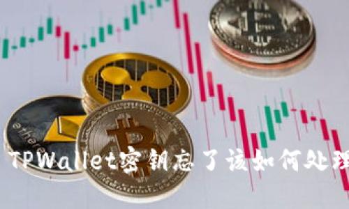 : TPWallet密钥忘了该如何处理？