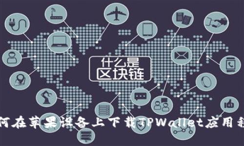 如何在苹果设备上下载TPWallet应用程序