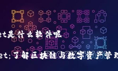 tpwallet是什么软件呢

TPWallet：了解区块链与数字资产管理的未来