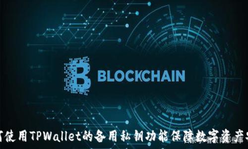  
如何使用TPWallet的备用私钥功能保障数字资产安全