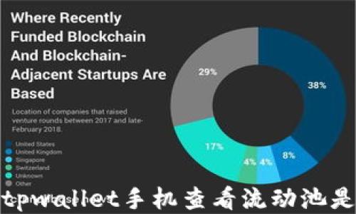 
如何通过tpwallet手机查看流动池是否被锁定