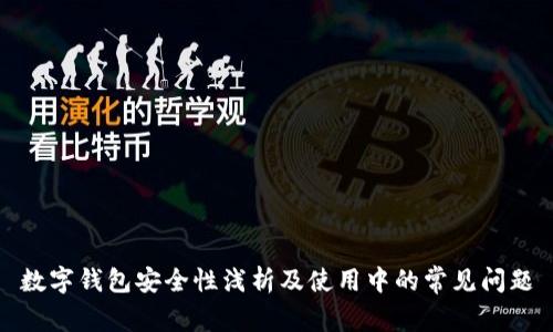 数字钱包安全性浅析及使用中的常见问题