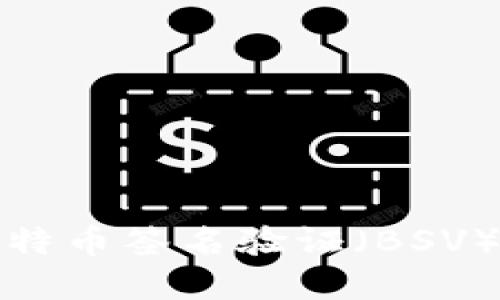 探索支持比特币签名验证（BSV）的数字钱包
