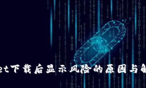 TPWallet下载后显示风险的原因与解决方案