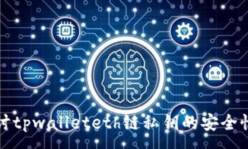 :
深入探讨tpwalleteth链私钥的安全性与管理