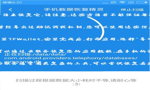 如果您不小心删除了TPWallet（TP钱包），可以尝试以下几种方法来恢复它。请注意，这些方法并不能保证每次都能成功恢复您的钱包。

第一步：检查备份
首先，回想一下您是否在使用TPWallet时进行过备份。如果您曾经导出过助记词或私钥，您可以使用这些信息重新创建您的钱包。备份通常是防止丢失钱包的最有效方法。

第二步：重新安装TPWallet
如果您只是误删了应用程序，您可以到应用商店重新下载并安装TPWallet。安装完成后，打开应用，选择“导入钱包”选项，输入您的助记词或私钥进行恢复。

第三步：云备份
有些手机具有云备份功能。如果您开启了手机的云备份，可能可以通过云服务恢复您的应用数据。在手机的设置中查看备份和恢复选项，找到TPWallet的数据进行恢复。

第四步：寻求专业帮助
如果以上方法都不奏效，您可以寻求专业的数据恢复服务。这些服务通常有更复杂的工具，可以尝试恢复丢失的数据，尽管成本较高且不一定成功。

第五步：做好未来的备份
无论您是否成功恢复TPWallet，记得以后定期备份您的助记词和私钥，确保钱包的安全。可以将这些重要信息写在纸上，或者使用安全的密码管理工具存储在云端。

总之，恢复TPWallet的关键在于备份的管理。请务必在使用数字钱包时，保持良好的备份习惯，以减少数据丢失的风险。