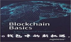 数字人民币：解锁Oppo钱包中的新机遇，轻松实现