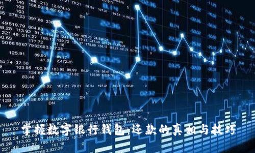 掌握数字银行钱包：还款的真相与技巧