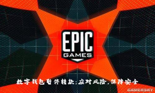 数字钱包暂停转款：应对风险，保障安全