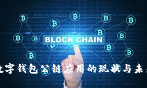 数字钱包公链应用的现状与未来