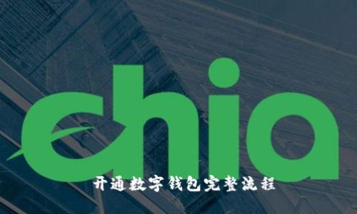  开通数字钱包完整流程