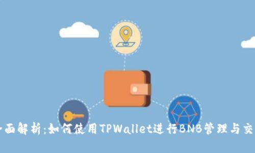 全面解析：如何使用TPWallet进行BNB管理与交易