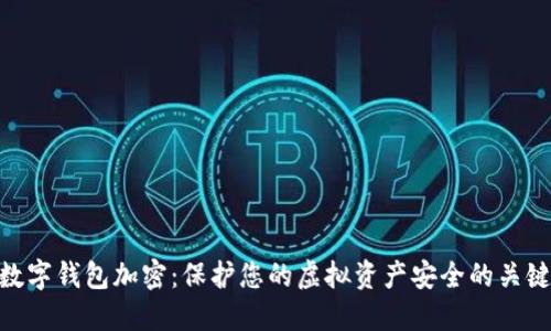 数字钱包加密：保护您的虚拟资产安全的关键