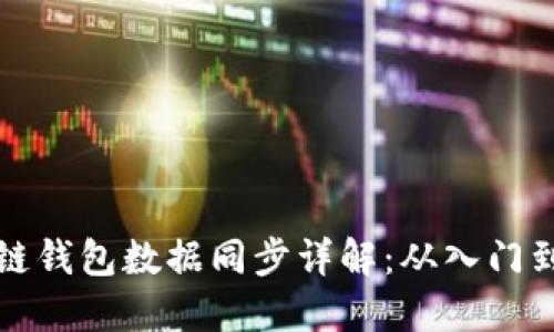 区块链钱包数据同步详解：从入门到精通